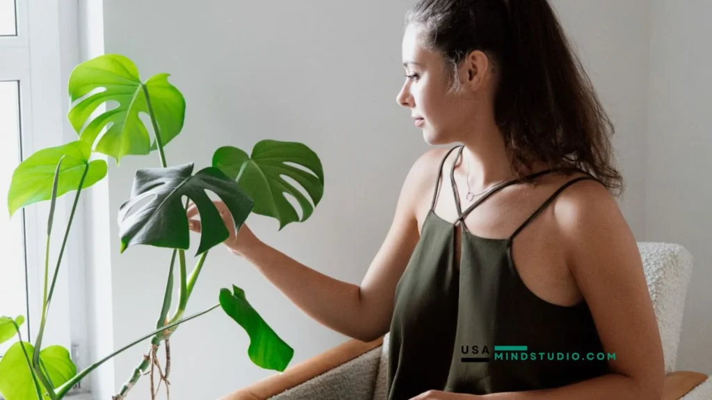 A woman sits by a window, surrounded by natural light, with a green plant beside her, creating a serene atmosphere.