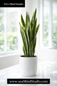 A tall, striking snake plant (Sansevieria) in a clean white ceramic pot, bright natural window light, minimalist modern interior, soft bokeh background, photorealistic, editorial style